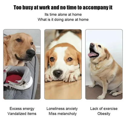 Automatic Dog Tennis Ball Launcher – Endless Fun for Your Active Dog!