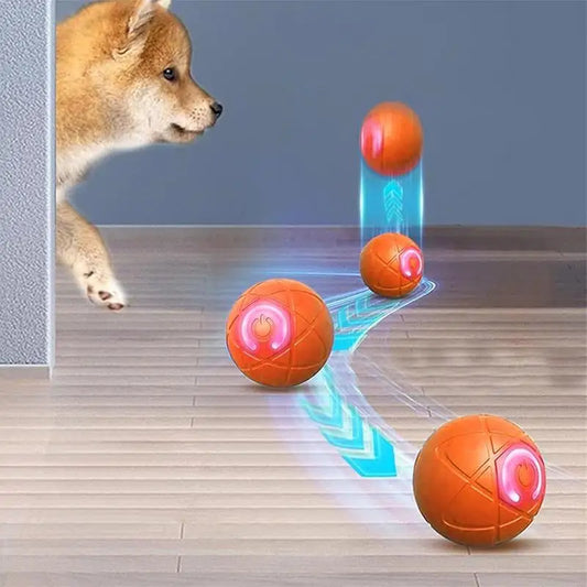Active Rolling Ball for Dogs – Interactive USB Rechargeable Toy with LED Lights